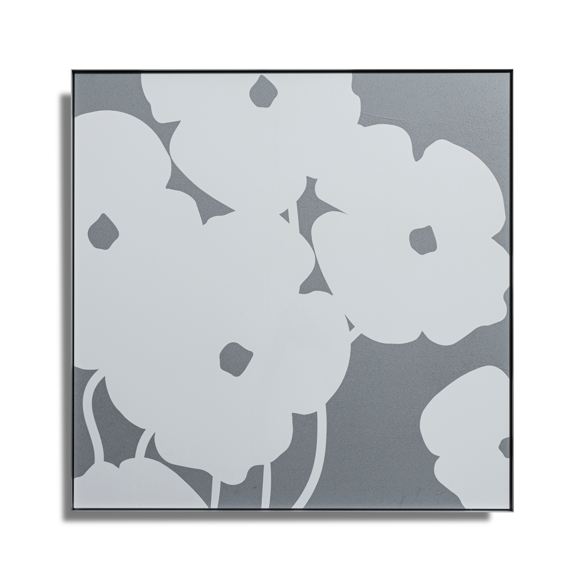 Donald Sultan - White Poppies in Cement